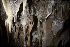 Thumbnail of photo from this article